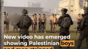 The genocide in Israeli prisons